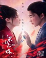 Butterfly Lovers