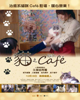 Cat Cafe
