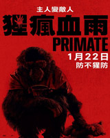 Primate