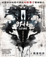 Stray
