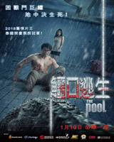 The Pool
