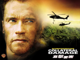 Collateral Damage